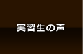 実習生の声